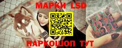 прущие грибы Краснодар