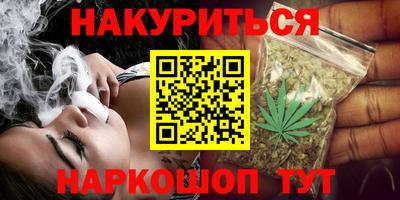 прущие грибы Краснодар